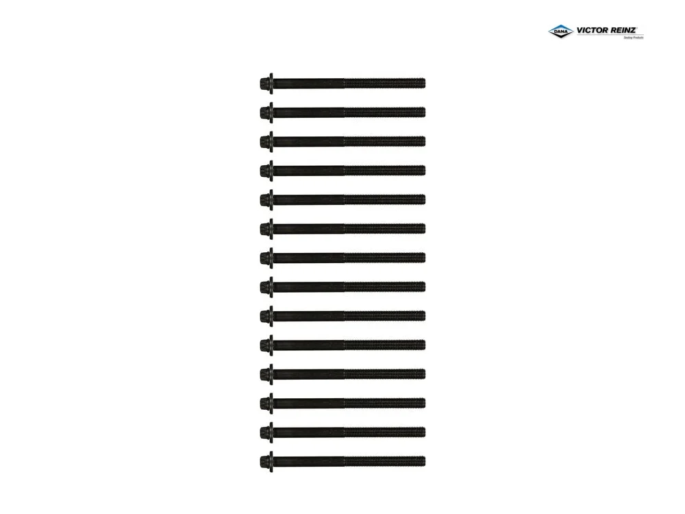 BMW E28 E30 Silindir Kapak Saplama Seti M21 VICTOR REINZ 14-32003-01