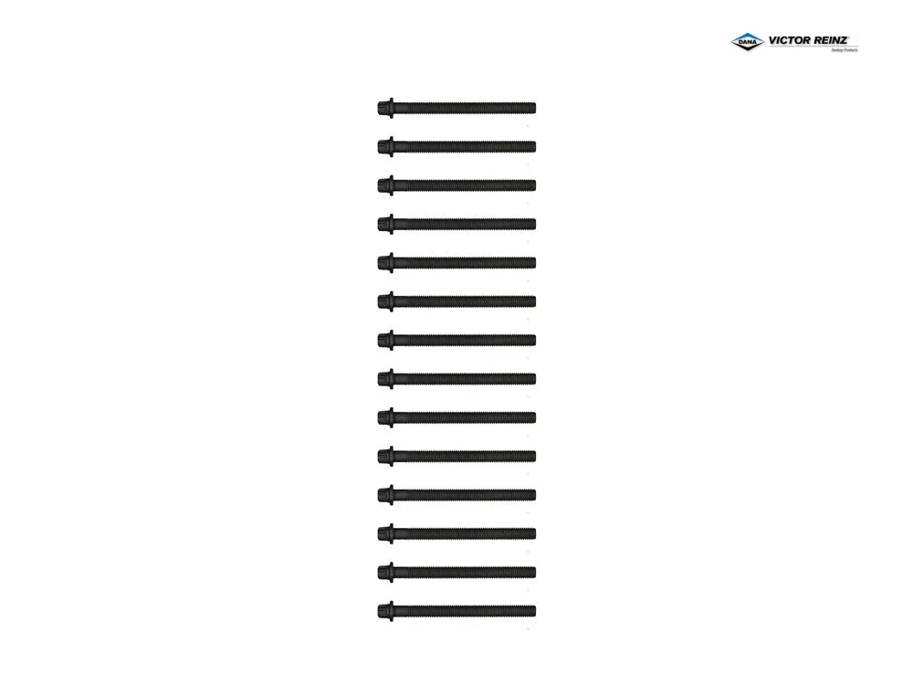BMW E31 E32 E38 E60 E61 Silindir Kapak Saplama Seti M70 M73 S70 S85 VICTOR REINZ 14-32005-02
