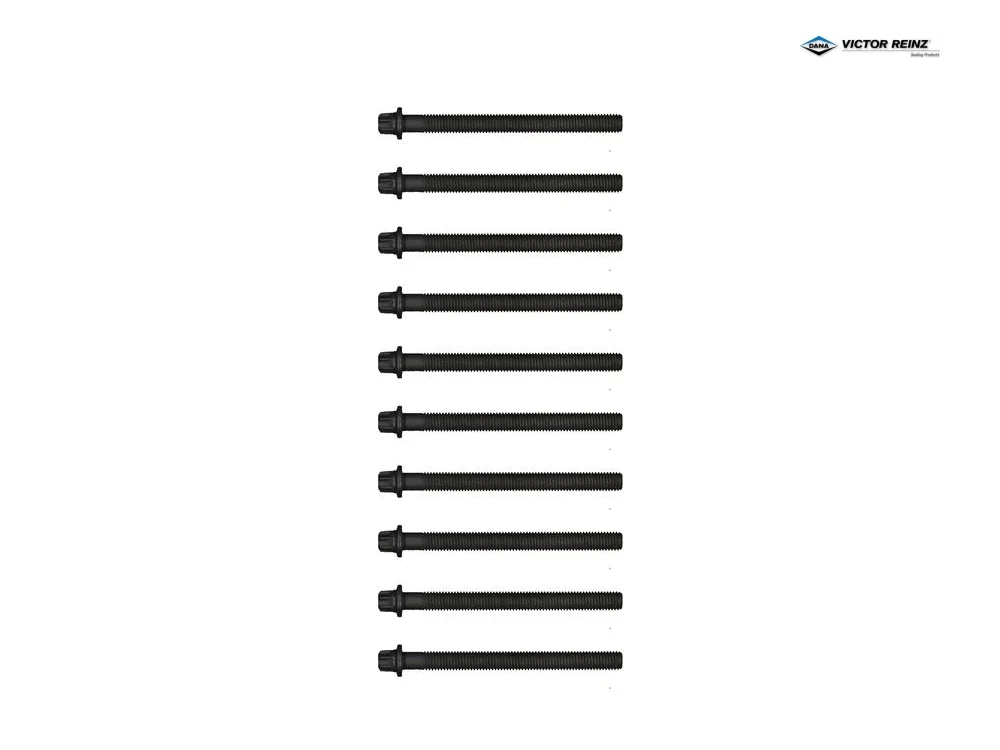 BMW E32 E34 E38 E39 E53 Silindir Kapak Saplama Seti M60 M62 S62 VICTOR REINZ 14-32005-01