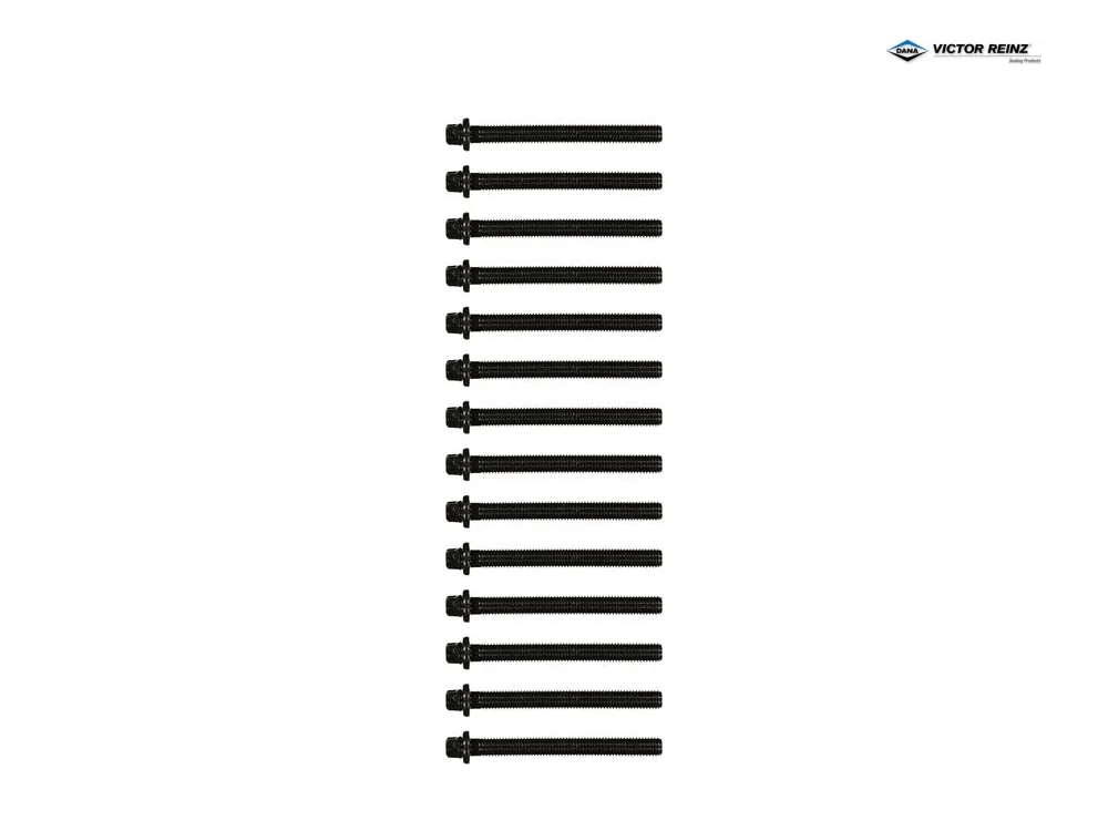 BMW E34 E36 E38 E39 E46 Silindir Kapak Saplama Seti M50 M52 S50 VICTOR REINZ 14-32002-02
