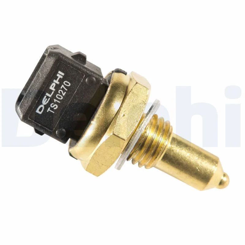BMW E36 E38 E39 E46 E53 E60 Hararet Müşürü Arka DELPHI TS10270