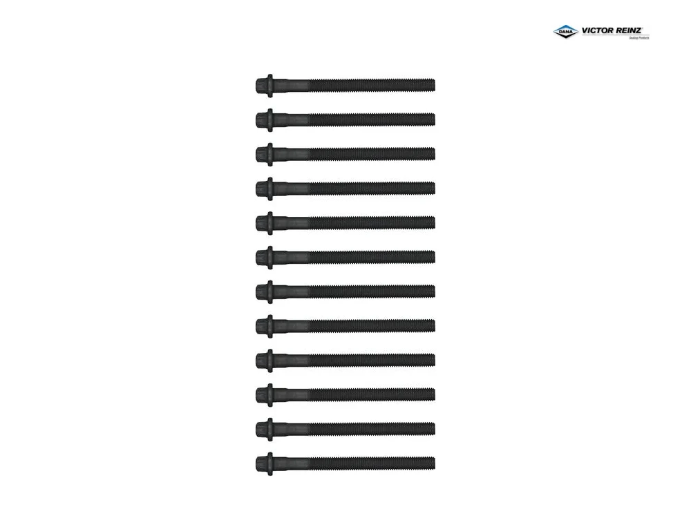 BMW E60 E61 E90 E92 E93 Silindir Kapak Saplama Seti S65 S85 VICTOR REINZ 14-12256-01