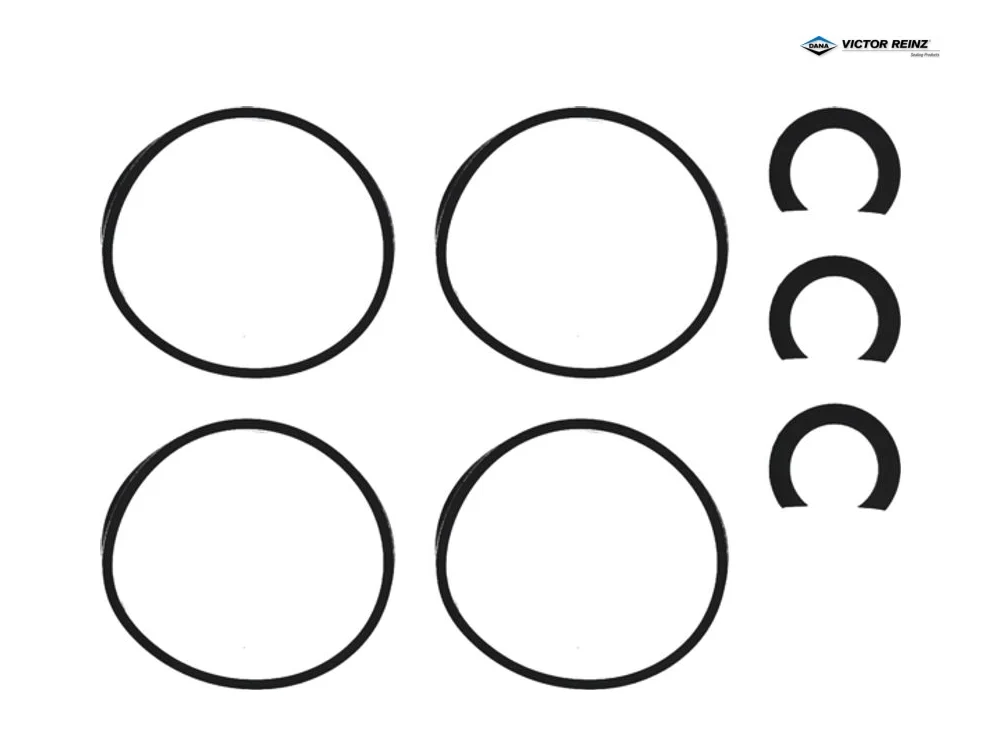 BMW E90 Emme Manifold Contası N45 VICTOR REINZ 11-39642-01