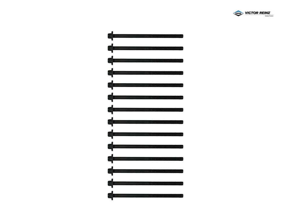 Bmw Saplama Seti N57 11128513130 VICTOR REINZ 141039802