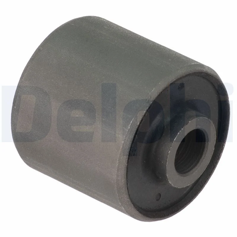 Salıncak Burcu Arka DELPHI TD1503W
