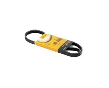 BMW E46 E65 E66 E83 - Klima Kayışı 64557786705 | BOSCH