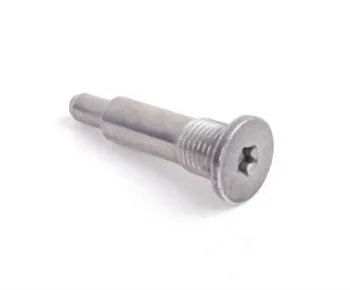 BMW N13 Eksantrik Ayar Vidası 11317534771 | PSA