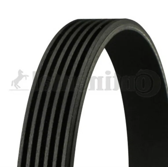 BMW Vantilatör Kayışı 6pk1705 Contıtech M43 [E46] 11287636371