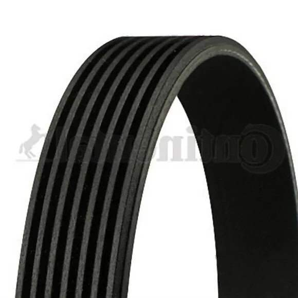 BMW Vantilatör Kayışı 7PK1370 Contıtech N52N [E70] 11287557257