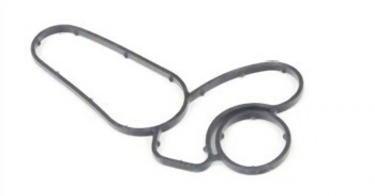 Bmw Yağ Filtre Conta M57N2 E46/E53/E60/E65/E70/E90/E92 11427788463 REINZ 151980