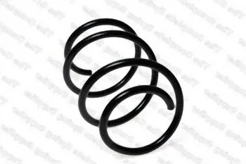 MINI Helezon Yayı Lesjofors 31336759382