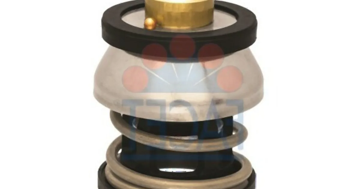 Termostat BMW 11518577896