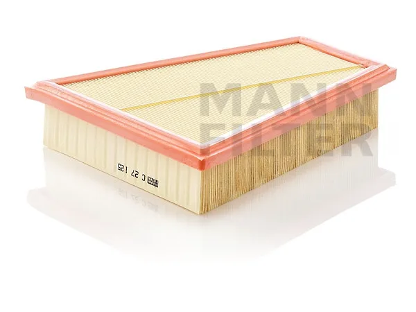 Hava Filtresi N20 [F10] MNN_C27125 MANN