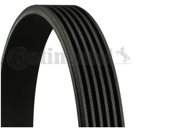 Kayış N20 [F20 F30 F10] CNT_6PK1005 CONTITEC