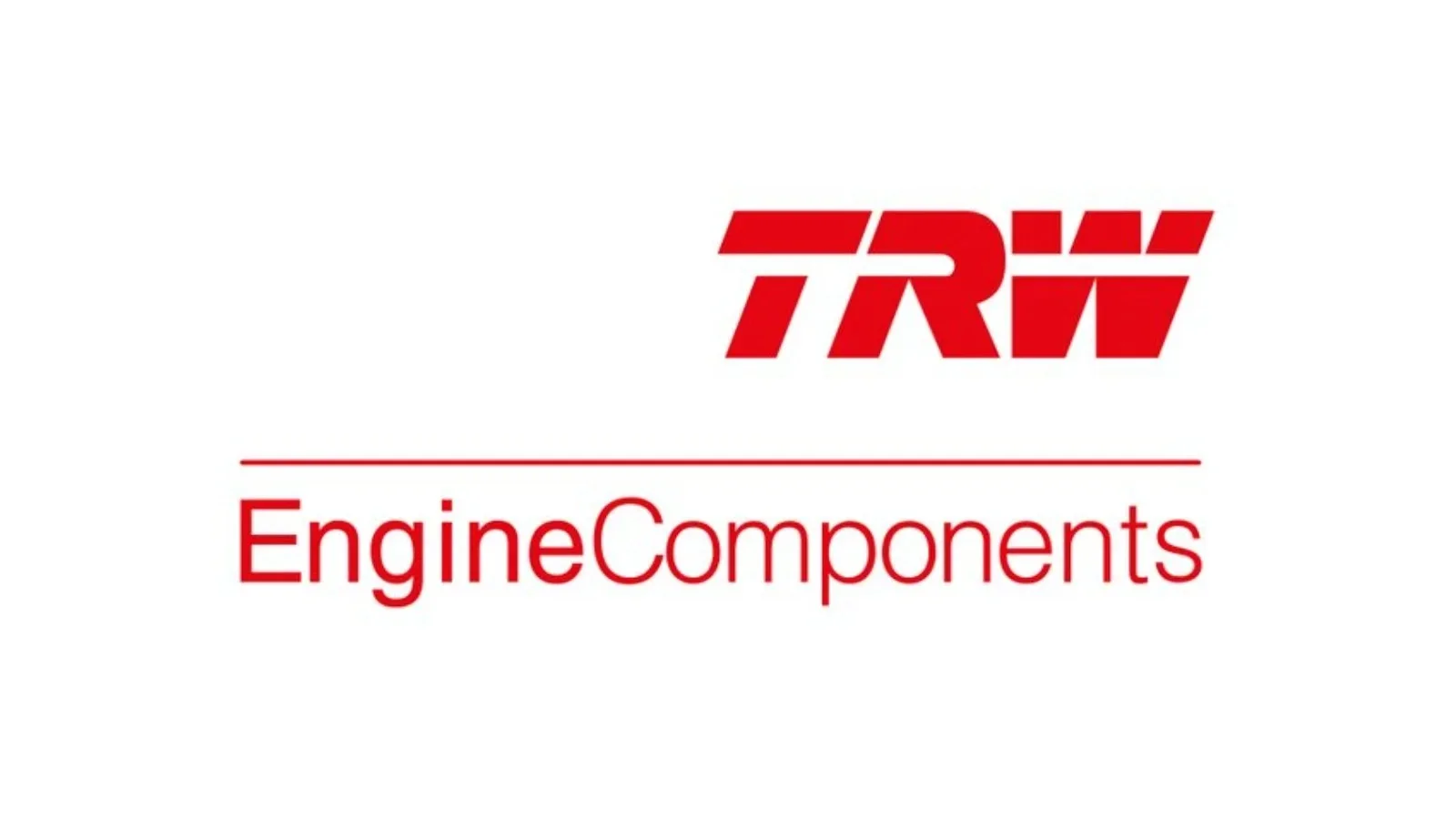 TRW BMW F20 F23 ön fren diski
