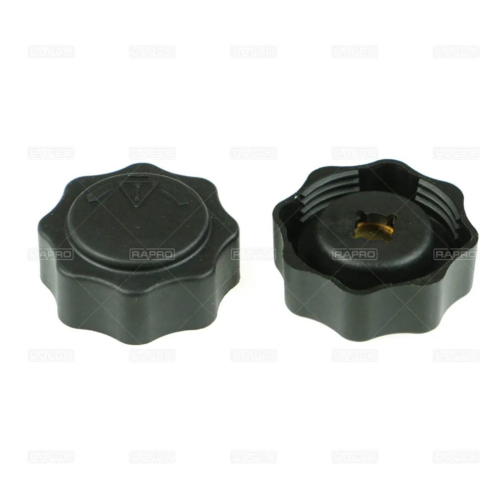 Bmw Radyatör Kapağı Mini R50 R52 R53 17107515499 RAPRO 66129